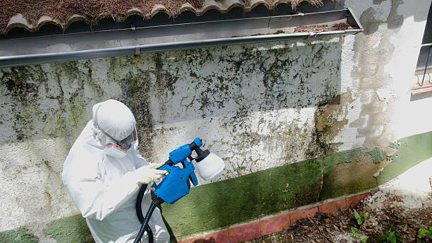 Top rated local Commercial Mold Remediation specialists in Orrstown, PA